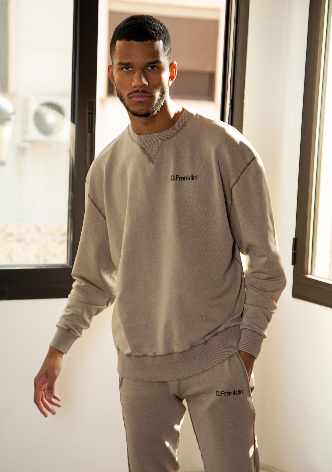 Sweatshirt Oversized D.Franklin Basic Sand