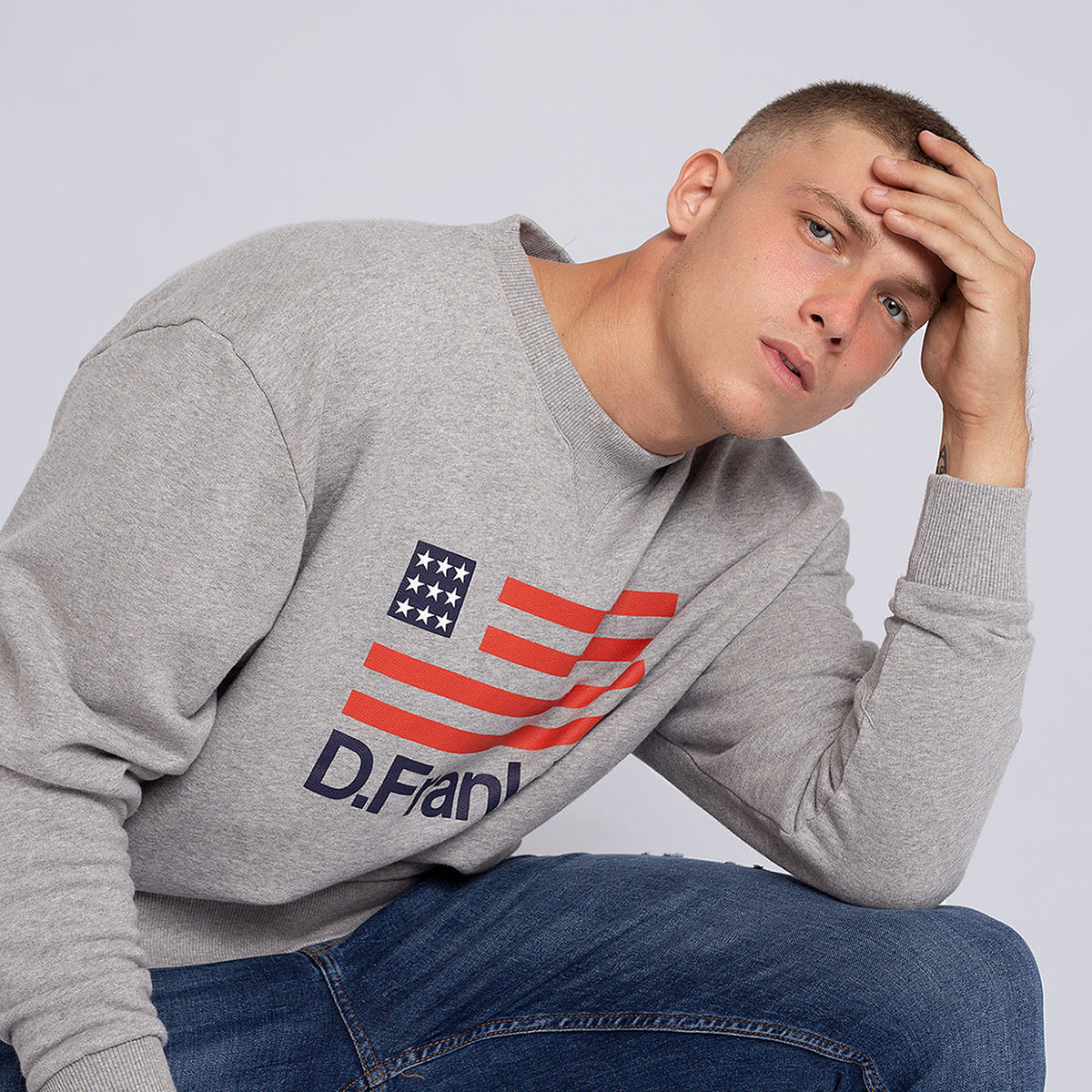 Sweatshirt Oversized D.Franklin Flag Grey